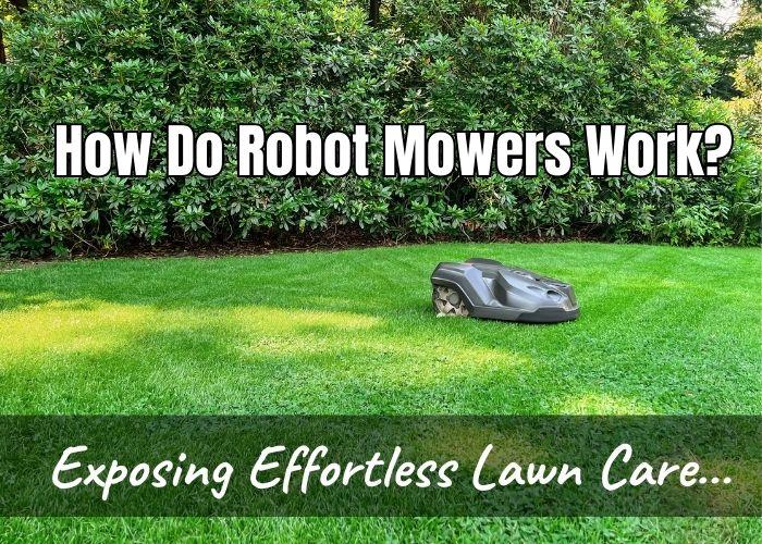 How Do Robot Mowers Work - Exposing Effortless Lawn Care