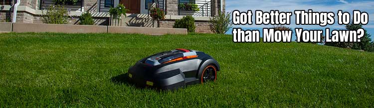 Morow Robot Mower - Got Better Things to Do than Mowing Your Lawn?