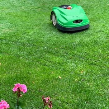 Robot Mowing Grass, Navigating Around Trees, Rocks, Pathways and Other Obstacles